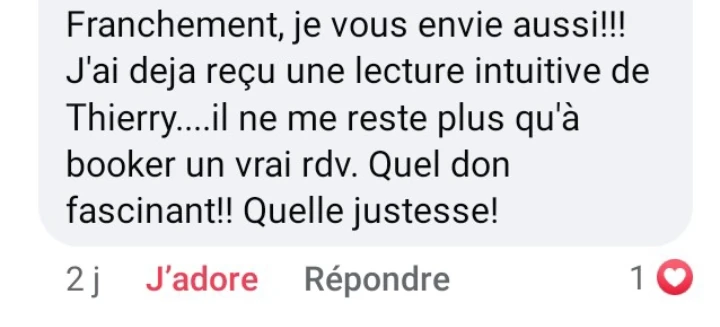 Capture originale d’un commentaire Facebook à propos d’une lecture intuitive de Thierry. Transcription intégrale disponible juste après.